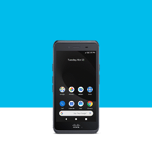 Wireless Phones
